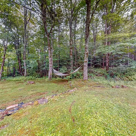 219 Old Ark Road Vila